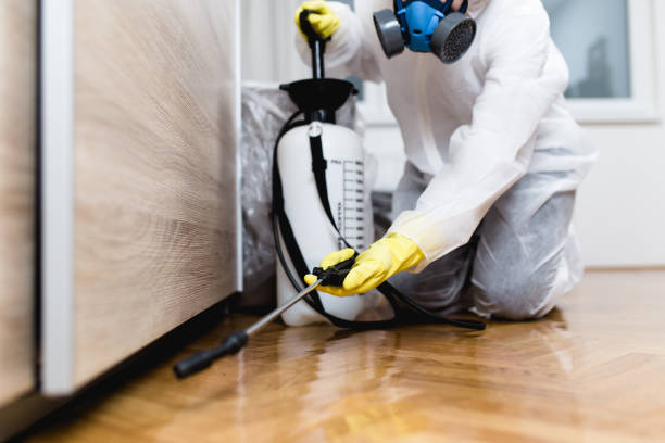 Best Exterminator Services  in Wedgefield, SC