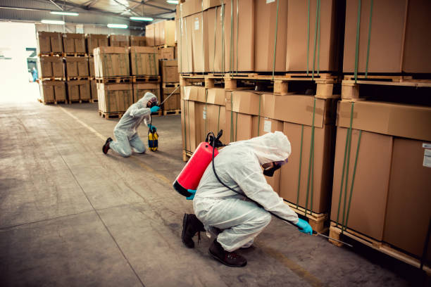 Best Wildlife Control Services  in Wedgefield, SC