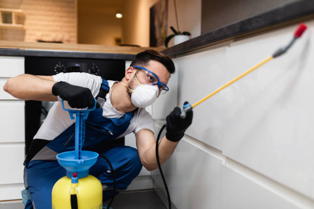 Best Local Pest Control Services  in Wedgefield, SC