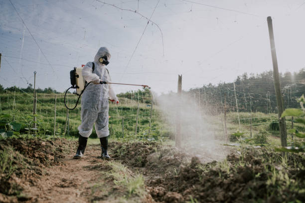 Professional Pest Control in Wedgefield, SC