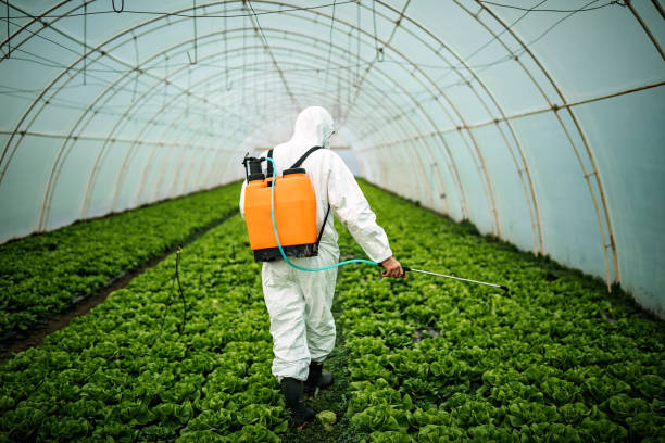 Best Affordable Pest Control Services  in Wedgefield, SC