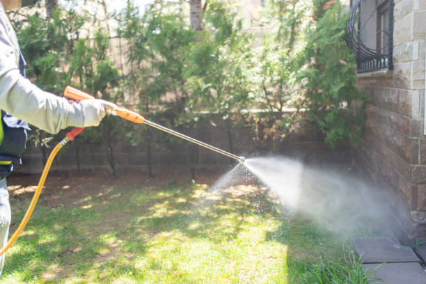 Best Pest Control for Restaurants  in Wedgefield, SC