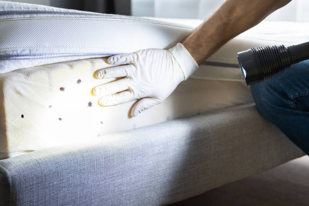 Best Pest Control Near Me in Wedgefield, SC
