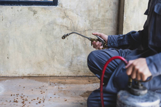 Best Pest Control Cost  in Wedgefield, SC